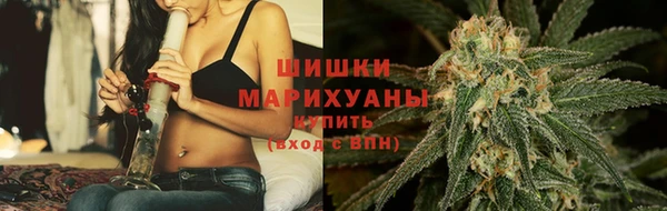 ГАЛЛЮЦИНОГЕННЫЕ ГРИБЫ Арсеньев