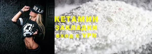 шишки Надым