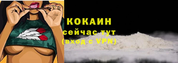 дживик Армянск