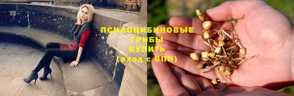 a pvp Аркадак