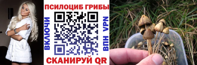 гидра ONION  Артёмовский  Галлюциногенные грибы мицелий  цена  